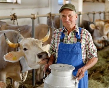 Supercharge Your Child’s Brain & Bones with A2 Gir Cow Ghee